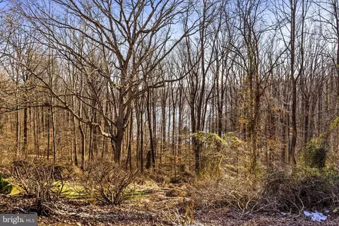 View/Area - 13401 Cambria Farms Rd, Phoenix, MD 21131 photo 4 of 4