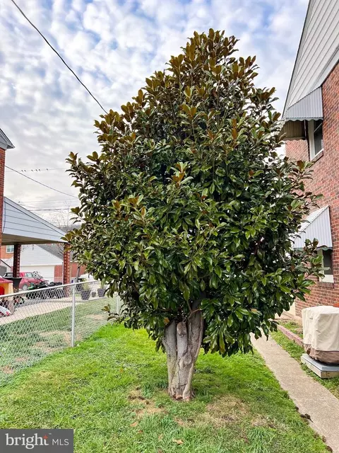 7320 Stratton Way, Baltimore, MD 21224 photo 5