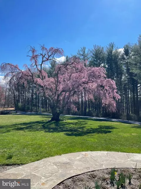 View/Area - 3016 Benson Mill Rd, Upperco, MD 21155 photo 2 of 2