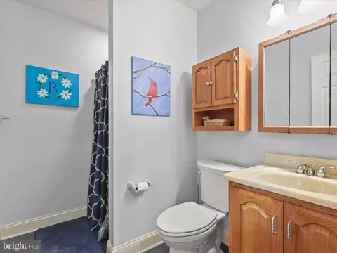 Bath - 23 Manor Knoll Ct, Baldwin, MD 21013 photo 11 of 11
