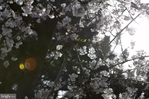 Other - 320 Lambeth, Catonsville, MD 21228 photo 30 of 32