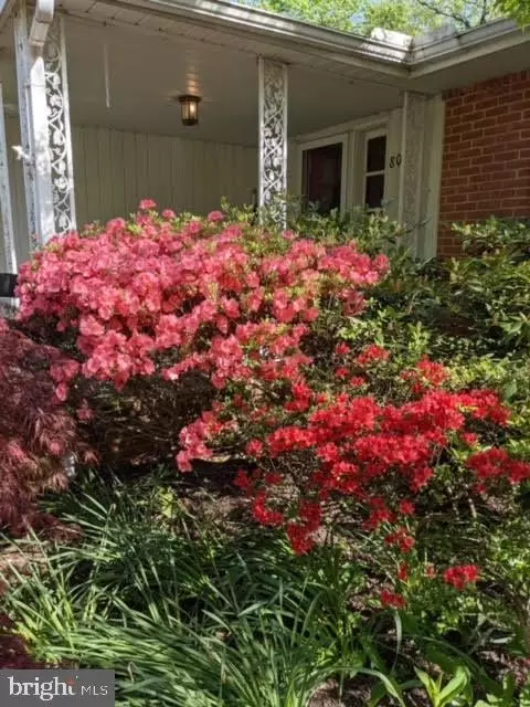 Exterior - 807 Ridgeleigh Rd, Baltimore, MD 21212 photo 15 of 19