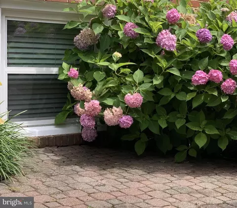 Exterior - 807 Ridgeleigh Rd, Baltimore, MD 21212 photo 16 of 19