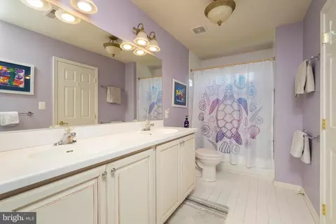 Bath - 3400 Meredith Ridge Rd, Phoenix, MD 21131 photo 5 of 6