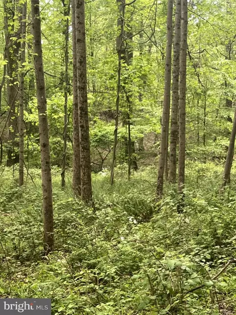 2835 Merrymans Mill Rd, Phoenix, MD 21131