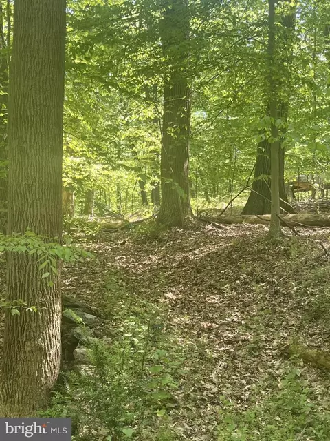 2835 Merrymans Mill Rd, Phoenix, MD 21131 photo 4