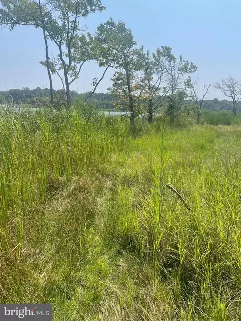 Main Avenue, Middle River, MD 21220 photo 4