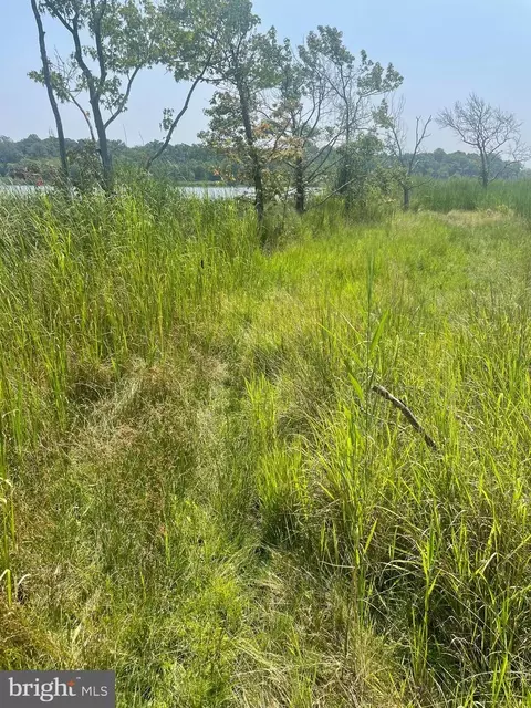 Main Avenue, Middle River, MD 21220 photo 2