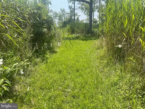 Main Avenue, Middle River, MD 21220 photo 5