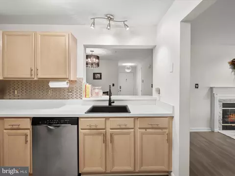 2203 E Falls Gable Ln #E, Baltimore, MD 21209 photo 11