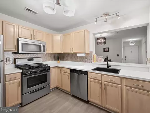 2203 E Falls Gable Ln #E, Baltimore, MD 21209 photo 10