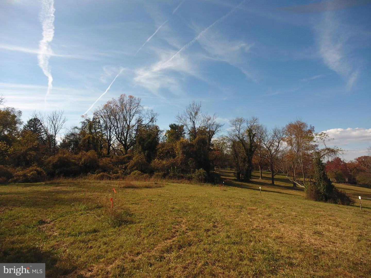 1312 Walnut Hill Ln, Ruxton, MD 21204 photo 7
