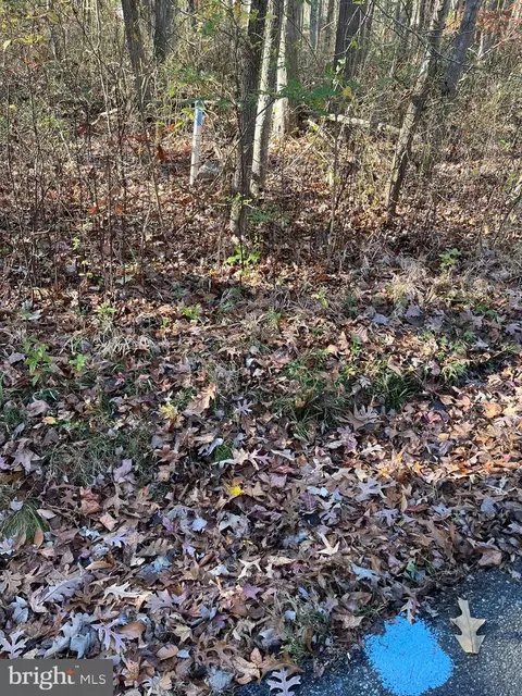 Shaffer Rd, Essex, MD 21221