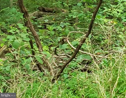 John Ave, Baltimore, MD 21221