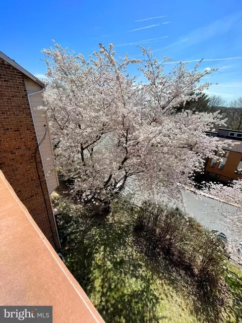 Other - 5 Windblown Ct #301, Baltimore, MD 21209 photo 11 of 12