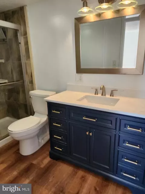 Bath - 205 Joppa Rd #2405, Towson, MD 21286 photo 4 of 7