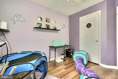 Entry Way - 13 Cedarcone Ct, Nottingham, MD 21236 photo 5 of 6
