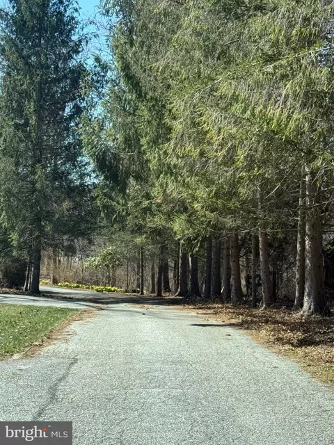 Falls Road, Sparks, MD 21152 photo 8