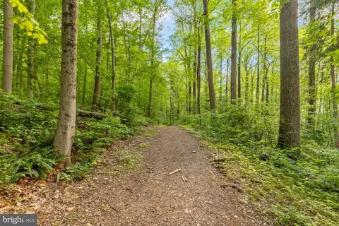 Other - 13704 Bardon Rd, Phoenix, MD 21131 photo 18 of 33