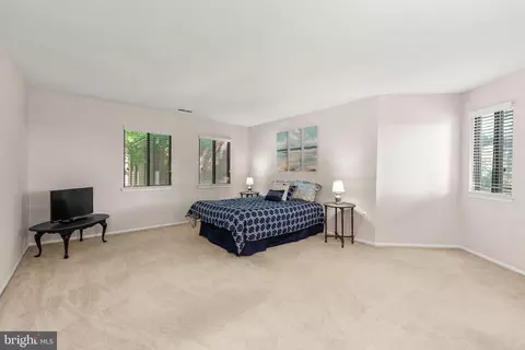 9 Windblown Ct #301, Baltimore, MD 21209 photo 15