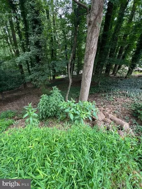 Miller Road, Parkton, MD 21120
