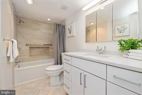 Bath - 205 E Joppa Rd #2009, Towson, MD 21286 photo 3 of 4