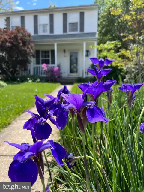 10 Ben Woods Ct, Catonsville, MD 21228