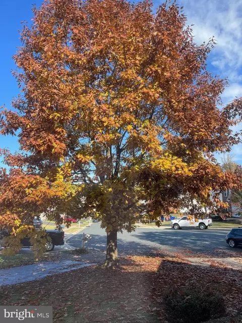 Other - 11400 Eunice Ct, White Marsh, MD 21162 photo 12 of 16