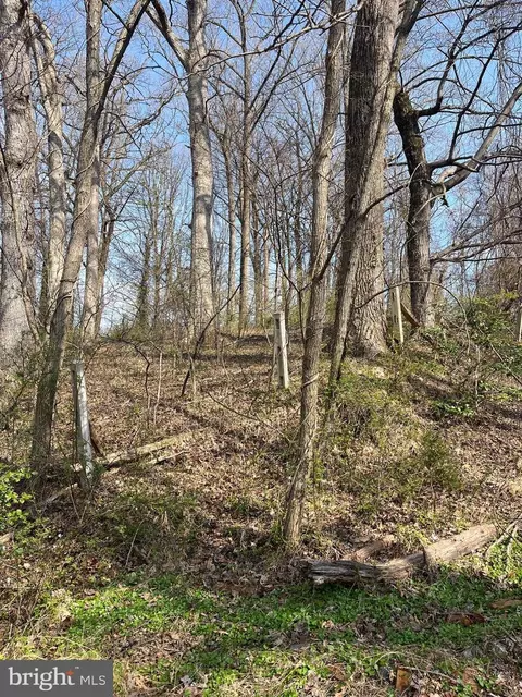 Steffeny Road, Randallstown, MD 21133