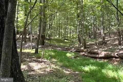 16418 Cedar Grv, Sparks, MD 21152