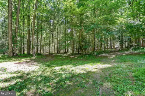 Exterior - 4806 Forge Rd, Perry Hall, MD 21128 photo 15 of 16