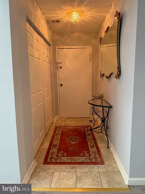 Entry Way - 1811 Snow Meadow Ln #301, Baltimore, MD 21209 photo 4 of 4