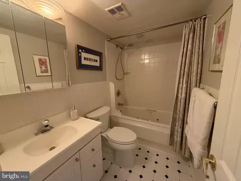 Bath - 1811 Snow Meadow Ln #301, Baltimore, MD 21209 photo 2 of 6