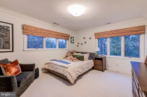 Bedroom - 13916 Green Branch Dr, Phoenix, MD 21131 photo 3 of 7