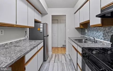 1 Windblown Ct #203, Baltimore, MD 21209 photo 6