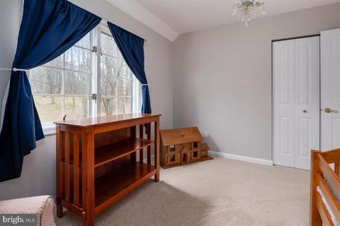 15 Cooper Field Ct, Phoenix, MD 21131 photo 26