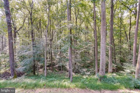 4309 Green Glade Rd, Phoenix, MD 21131 photo 43
