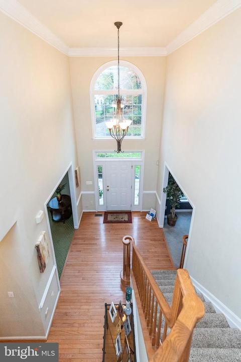 6433 Catalpa Rd, Fork, MD 21051 photo 19