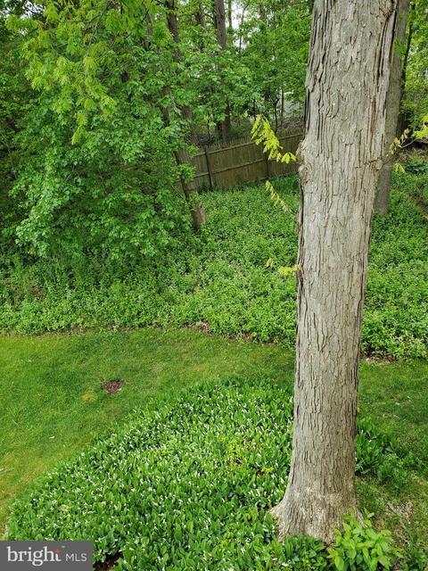4549 Ambermill Rd, Nottingham, MD 21236 photo 4