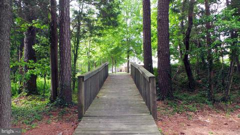 625 Ruxton Rd #73, Solomons, MD 20688 photo 43