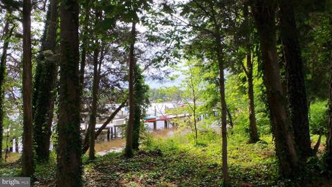 625 Ruxton Rd #73, Solomons, MD 20688 photo 44