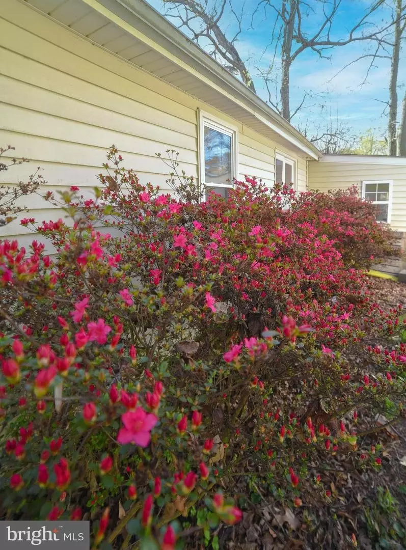  1220 Forest Rd, Saint Leonard, MD 20685 photo 39