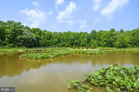 12061 Steven Ln, Dunkirk, MD 20754 photo 58