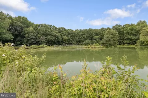 12042 Steven Ln, Dunkirk, MD 20754 photo 70
