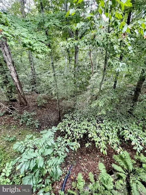 9615 Cortland Ln, Dunkirk, MD 20754 photo 60