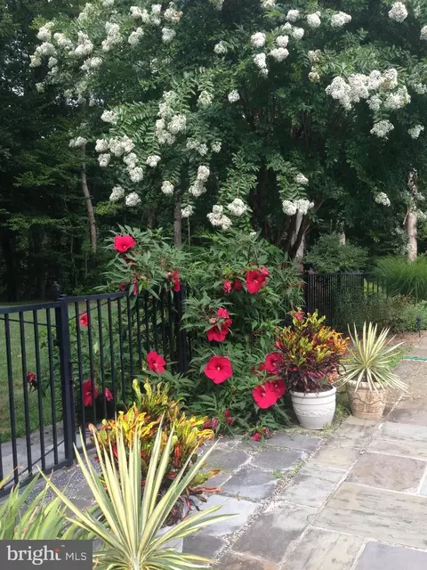Exterior - 12053 Steven Ln, Dunkirk, MD 20754 photo 8 of 8
