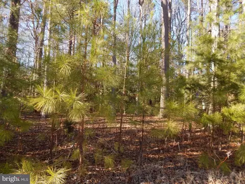 13455 Dowell Rd, Solomons, MD 20688 photo 5