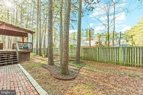 Exterior - 13541 Osprey Ln, Solomons, MD 20688 photo 5 of 7