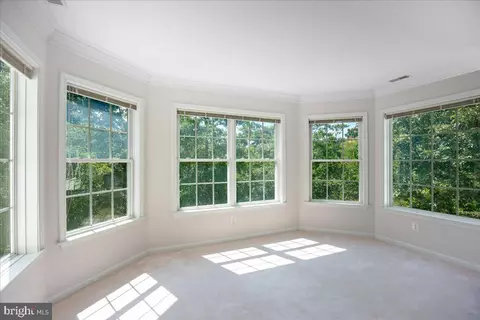 13465 Lore Pines Ln, Solomons, MD 20688 photo 36