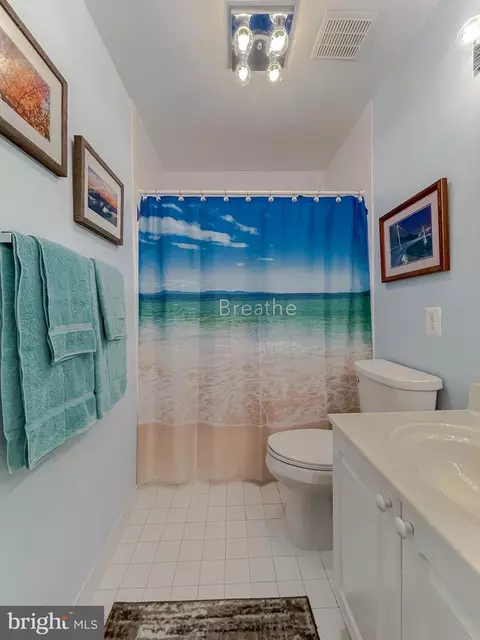 Bath - 13405 Lore Pines Ln, Solomons, MD 20688 photo 6 of 8